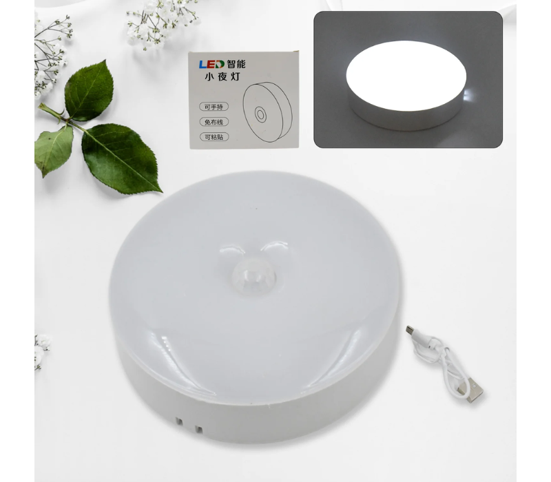 LED Motion Sensor Light
